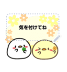 もっちりとりのぴーちゃんMessageスタンプ2（個別スタンプ：21）