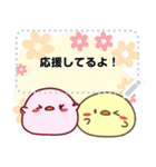 もっちりとりのぴーちゃんMessageスタンプ2（個別スタンプ：24）