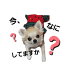キキたんず2（個別スタンプ：12）