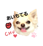 キキたんず6(告白)（個別スタンプ：3）