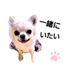 キキたんず6(告白)（個別スタンプ：5）