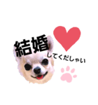 キキたんず6(告白)（個別スタンプ：10）