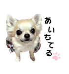 キキたんず6(告白)（個別スタンプ：11）