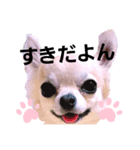 キキたんず6(告白)（個別スタンプ：12）