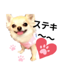 キキたんず6(告白)（個別スタンプ：15）