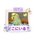 癒しのインコ☆ピチャ（個別スタンプ：28）