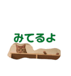 ぴーさんちょびさんはおさん（個別スタンプ：3）
