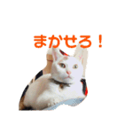 ぴーさんちょびさんはおさん（個別スタンプ：7）