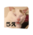 ぴーさんちょびさんはおさん（個別スタンプ：8）