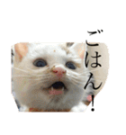 ぴーさんちょびさんはおさん（個別スタンプ：10）