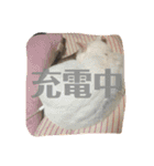 ぴーさんちょびさんはおさん（個別スタンプ：15）