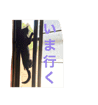 ぴーさんちょびさんはおさん（個別スタンプ：16）