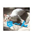 ぴーさんちょびさんはおさん（個別スタンプ：23）