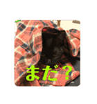 ぴーさんちょびさんはおさん（個別スタンプ：24）