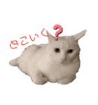 みるくです①（個別スタンプ：8）