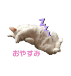 みるくです①（個別スタンプ：9）