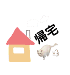 みるくです①（個別スタンプ：13）