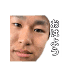 三年間税理士コース（個別スタンプ：6）