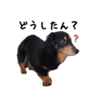 ちょちおとぷーちゃん（個別スタンプ：2）