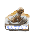 ビションプーこむぎ（個別スタンプ：4）