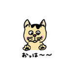 ゆる猫ミヤさん（個別スタンプ：1）
