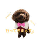 マキたんちのペット大集合2（個別スタンプ：8）