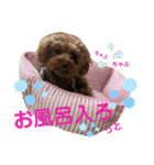 マキたんちのペット大集合2（個別スタンプ：10）