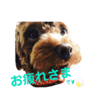 マキたんちのペット大集合2（個別スタンプ：11）