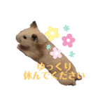 キンクマもなかの丁寧なあいさつ（個別スタンプ：4）