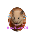 キンクマもなかの丁寧なあいさつ（個別スタンプ：5）