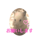 キンクマもなかの丁寧なあいさつ（個別スタンプ：7）