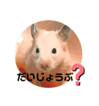キンクマもなかの丁寧なあいさつ（個別スタンプ：11）