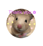 キンクマもなかの丁寧なあいさつ（個別スタンプ：12）