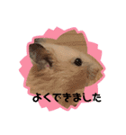 キンクマもなかの丁寧なあいさつ（個別スタンプ：14）