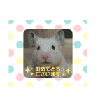 キンクマもなかの丁寧なあいさつ（個別スタンプ：15）
