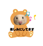 キンクマもなかの丁寧なあいさつ（個別スタンプ：16）