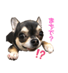 ココとルゥ②（個別スタンプ：13）