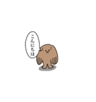 わんもふ（個別スタンプ：1）