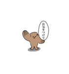 わんもふ（個別スタンプ：3）