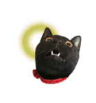 黒猫かんべの変顔祭り＋ご近所猫さん（個別スタンプ：4）