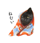 黒猫かんべの変顔祭り＋ご近所猫さん（個別スタンプ：13）