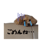 愛しのとらのすけスタンプ（個別スタンプ：14）