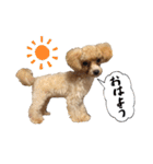 愛しのとらのすけスタンプ（個別スタンプ：18）