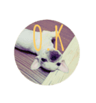 Ui stamp❤️（個別スタンプ：14）