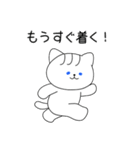 前髪猫と白いクマ（個別スタンプ：13）