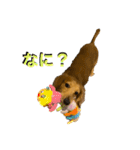 ウィル日常生活スタンプoriginal③（個別スタンプ：14）
