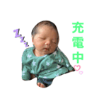 ko-ao-ciha（個別スタンプ：1）