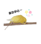 ウッディ＆ぴーちゃん（個別スタンプ：7）
