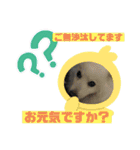 スピッツファミリー⑨（個別スタンプ：29）