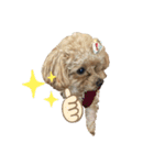 LEOSTAMPP（個別スタンプ：6）